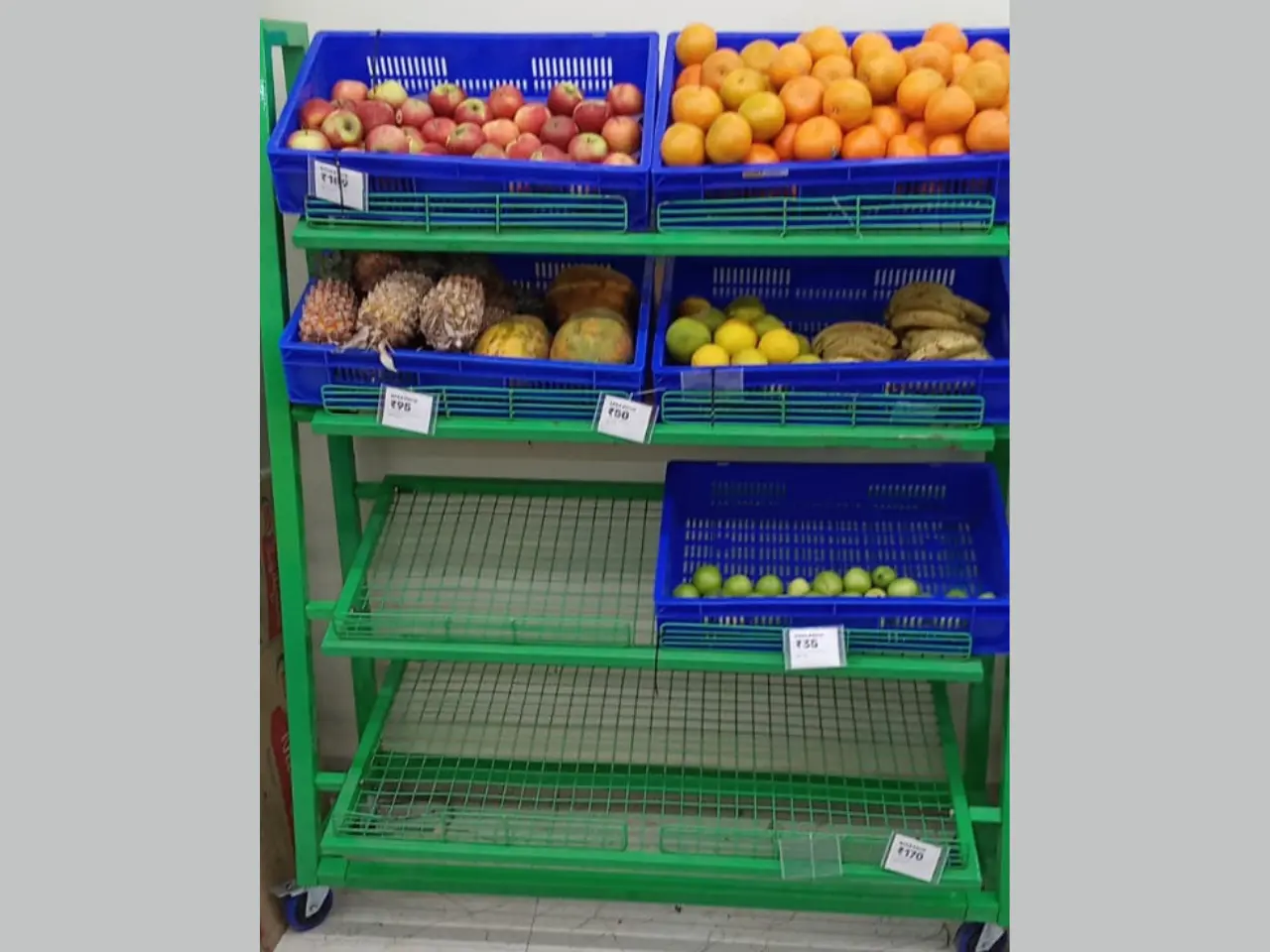 575609165_Vegetable-racks-Installation-Devendranagar.webp